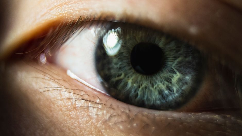 Eye anatomy anterior chamber angle