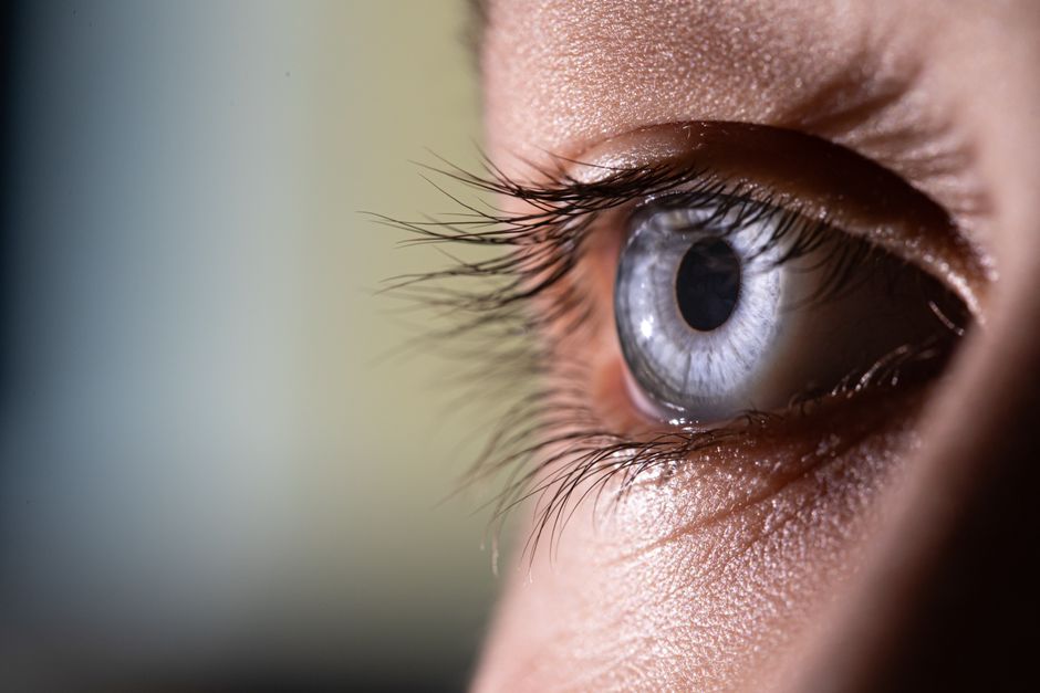 Pterygium surface eye examination
